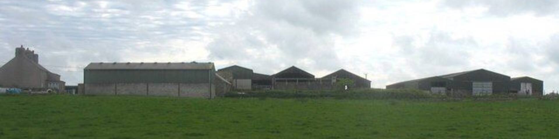Hafod-uchaf Farm, Carreglefn