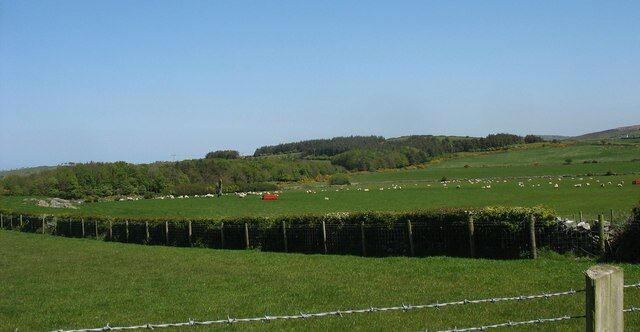 Pasture land south of the former Shell oil terminal The woodland was planted to reduce the visual impact of the oil terminal.