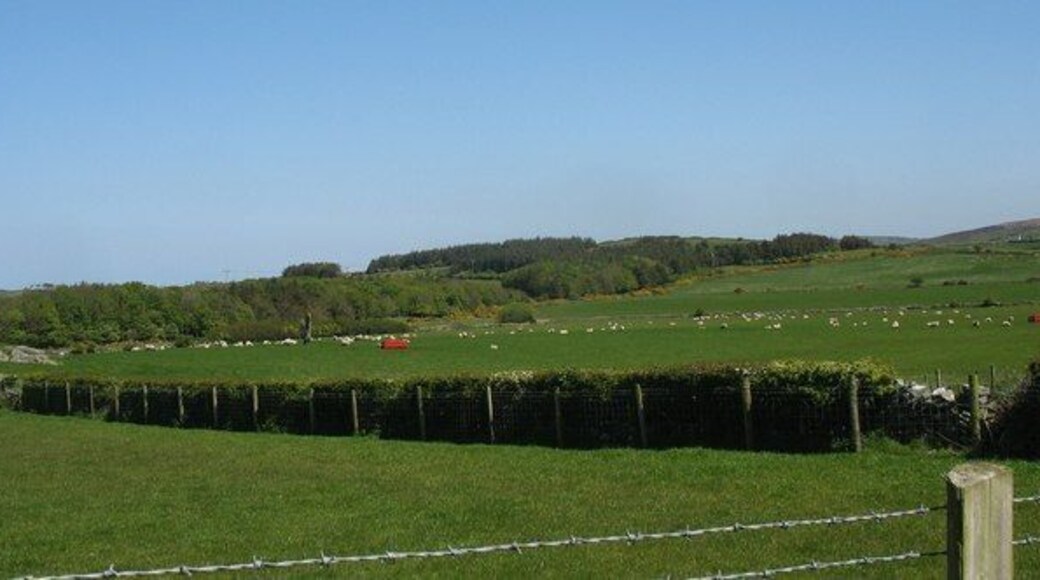 Pasture land south of the former Shell oil terminal The woodland was planted to reduce the visual impact of the oil terminal.