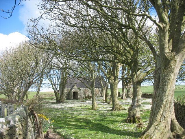 The Daisy covered graveyard of Eglwys Peirio Sant