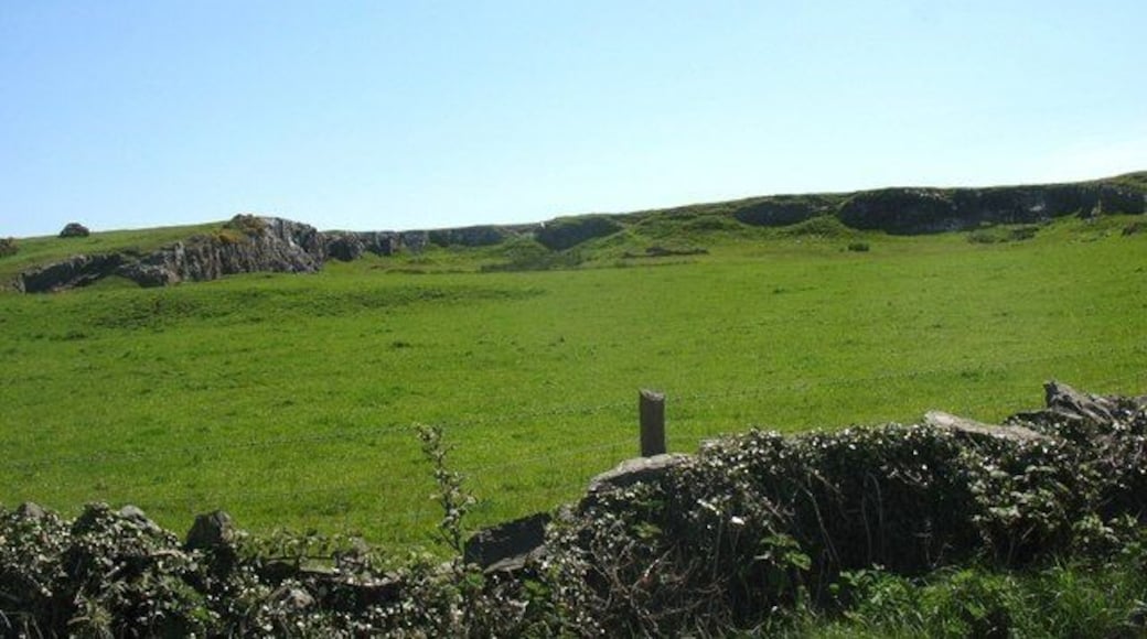 Un campo verde con un muro de piedra y afloramientos rocosos.