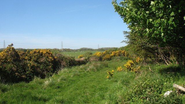 Track along the southern perimeter of the Rhosgoch oil terminal A public footpath follows the line of this track. The section of the path across the sheep grazings to the Bodewryd road, however, is inaccessible.