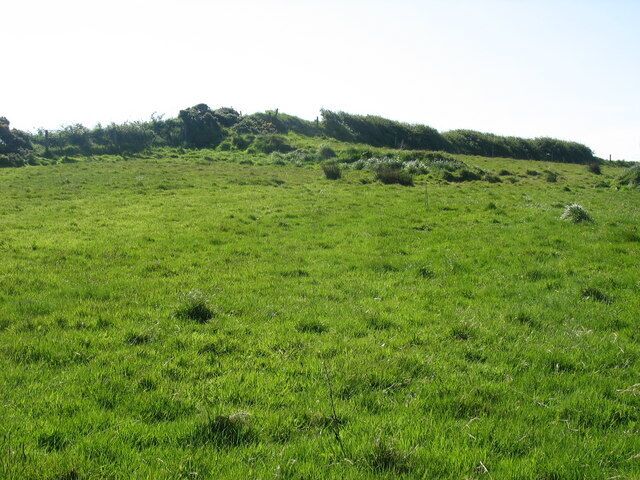 Um campo gramado com colinas onduladas e árvores dispersas.