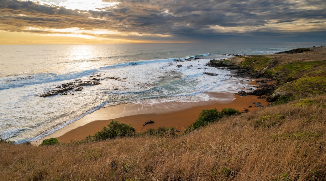 A coastal landscape with a beach, rocky shoreline, and a grassy cliff.