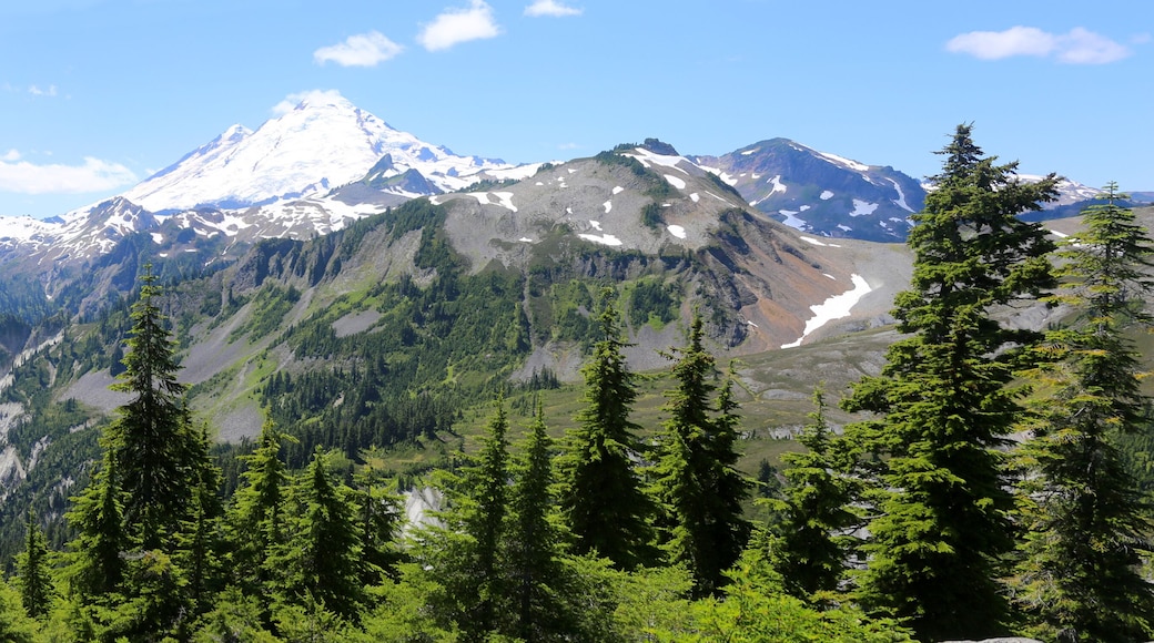 Mount Baker