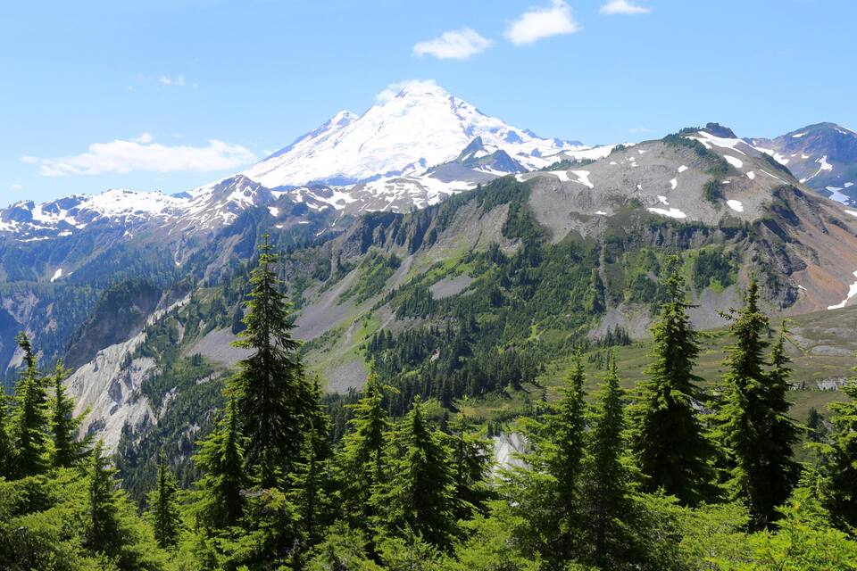 A snow-capped mountain range with dense forests in the foreground.