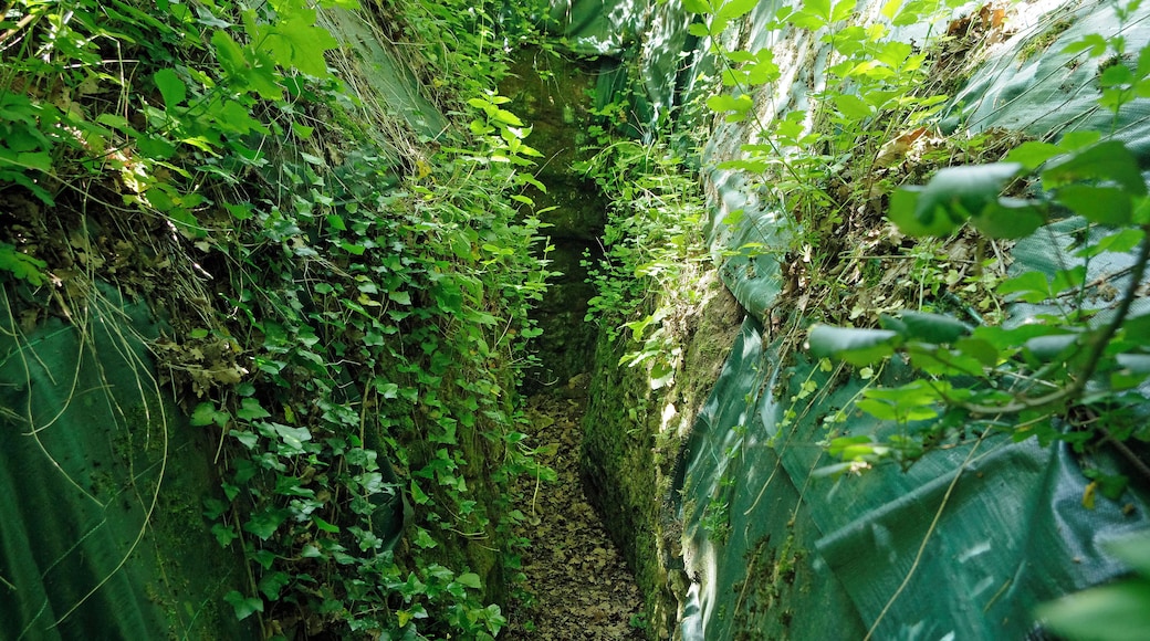 Chemillé-sur-Indrois (Indre-et-Loire) Aqueducs gallo-romain de la Ronde et du Gravier. Il s'agit de deux petits aqueducs sur la rive gauche de l'Indrois. Ces deux aqueducs devaient alimenter en eau une villa située à la limite de Chemillé et Montrésor. On estime le débit de chacun des aqueducs à environ 300 m³ par jour. Le premier aqueduc, probablement découvert lors du creusement des caves voisines, est une galerie souterraine de 1,70 m à 1,80 m de hauteur et large d’environ 55 cm. Le petit canal, de 17 cm par 17 cm, a été façonné après creusement de la galerie avec du ciment romain. Le canal (specus) est recouvert de terre par endroit et donc non visible. La galerie s'enfonce sous le plateau vers le sud, elle est ensuite partiellement comblée. Un bassin de régulation a pu être identifié, il permettait d'éliminer le trop plein dans une ravine ou de mettre l'aqueduc hors d'eau pour l'enteretien et les réparations. La seconde galerie mène à environ 33,50 m de l’entrée à une petite pièce ovoïde de 1m sur 1m,10 avec une aération donnant sur les champs. Ensuite la galerie est obstruée. Un aqueduc pouvait comporter des galeries souterraines, des ponts pour franchir les vallées, et par endroit être un simple canal recouvert de pierres. Lors de la construction, le calcul de la pente des aqueducs était effectué par les "libratores". Pour tracer le parcours les ingénieurs romains disposaient de trois instruments : la groma*, le chorobate* et la dioptra*. Les Gallo-romains avaient pour habitude de laisser tous les 30 m des puits (putei ou lumina) pour faciliter le creusement de la galerie et le calcul de la pente nécessaire à l’écoulement de l’eau. L'entretien des aqueducs, nettoyage et réparation, était assuré par les "aquarii". Les eaux acheminées étaient choisies avec soin. Dans "De Architectura", Vitruve nous indique la démarche : "« On pourra connaître par plusieurs observations qu'elle est la qualité des eaux. Car si elles coulent à découvert sur la terre, avant que de les enfermer pour les conduire, il faudra considérer qu'elle est l'état physique des habitants du lieu. S'ils sont robustes et de bonne couleur, et qu'ils ne sont sujets ni aux maux de jambe, ni aux fluxions sur les yeux, on sera assuré de la bonté des eaux. Mais aussi, dans le cas d'une fontaine nouvellement découverte, si des gouttes de son eau étant jetées sur du cuivre de Corinthe, ou sur d'autre bon cuivre, n'y font point de tâche, c'est un indice que l'eau est excellente. Et encore, si l'eau après avoir été bouillie ne laisse au fond du vase aucun sable ou limon ; et si l'on remarque que les légumes bouillis dans cette eau se cuisent promptement. Enfin on saura que l'eau est légère et très bonne, si étant claire et belle à la source, elle ne gâte point les lieux ou elle passe par de la mousse, des joncs ou d'autres saletés. » Le coût des aqueducs en faisait des constructions non seulement utilitaires, mais également de prestige. Voir (LES AQUEDUCS ANTIQUES - CONDUIRE L'EAU (AQUAE DUCTUS)- Jean Claude Litaudon © 2004 - TRAIANVS © 2004). La groma, instrument de géomètre destiné à déterminer des directions orthogonales. Elle est essentiellement composée d'une croix horizontale sur un support, au bout de chaque branche pend un fil à plomb. On place des piquets en les alignant sur deux fils à plombs. Le nom de groma viendrait du grec gnomon, équerre. Le chorobate servait à mesurer les dénivellations. Elle est essentiellement composée d'une règle avec une goutière dans laquelle on met de l'eau. Des fils à plomb permettent de mettre la règle horizontale. La distance de la surface de l'eau par rapport aux bords donne la pente. La dioptra, est analogue au théodolite, mais sans lunette optique.