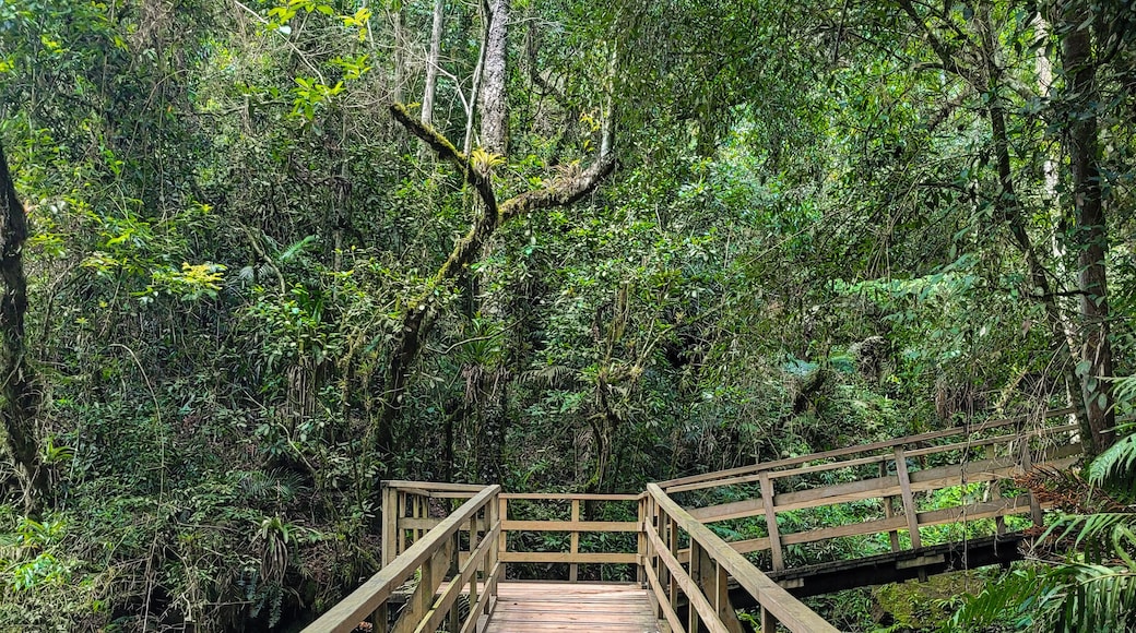 Sendero Buraco do Padre