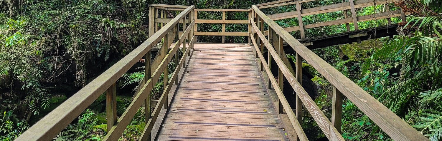 Wooden walkway in the forest leading to the Buraco do Padre cave in the state of Parana in Brazil.