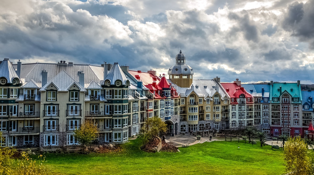 Colorful buildings with a prominent tower and a green park in the foreground.
