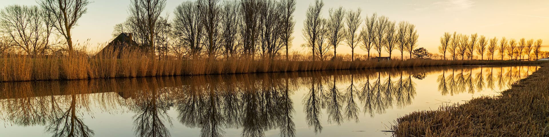 The setting sun casts a golden glow on this windless winter evening in Avenhorn (North Holland)..A small cluster of clouds and the row of trees are mirrored in the calm water.