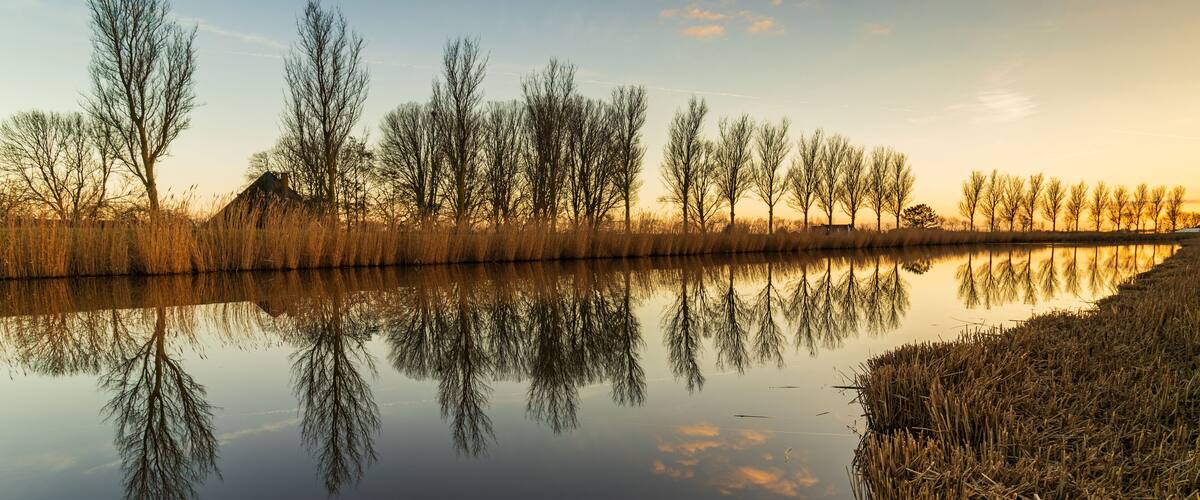A calm river reflecting trees and a clear sky.