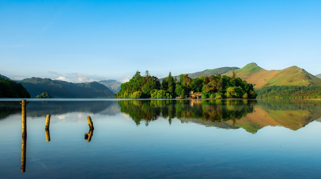 A calm lake with reflections of trees and mountains, wooden posts in the water, and a clear sky.