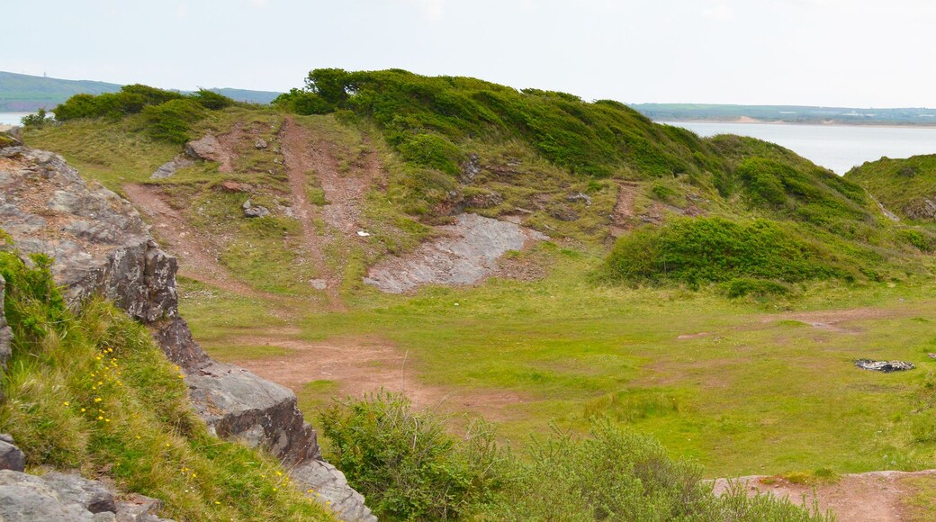 A coastal landscape with grassy hills, a dirt path, and a body of water.