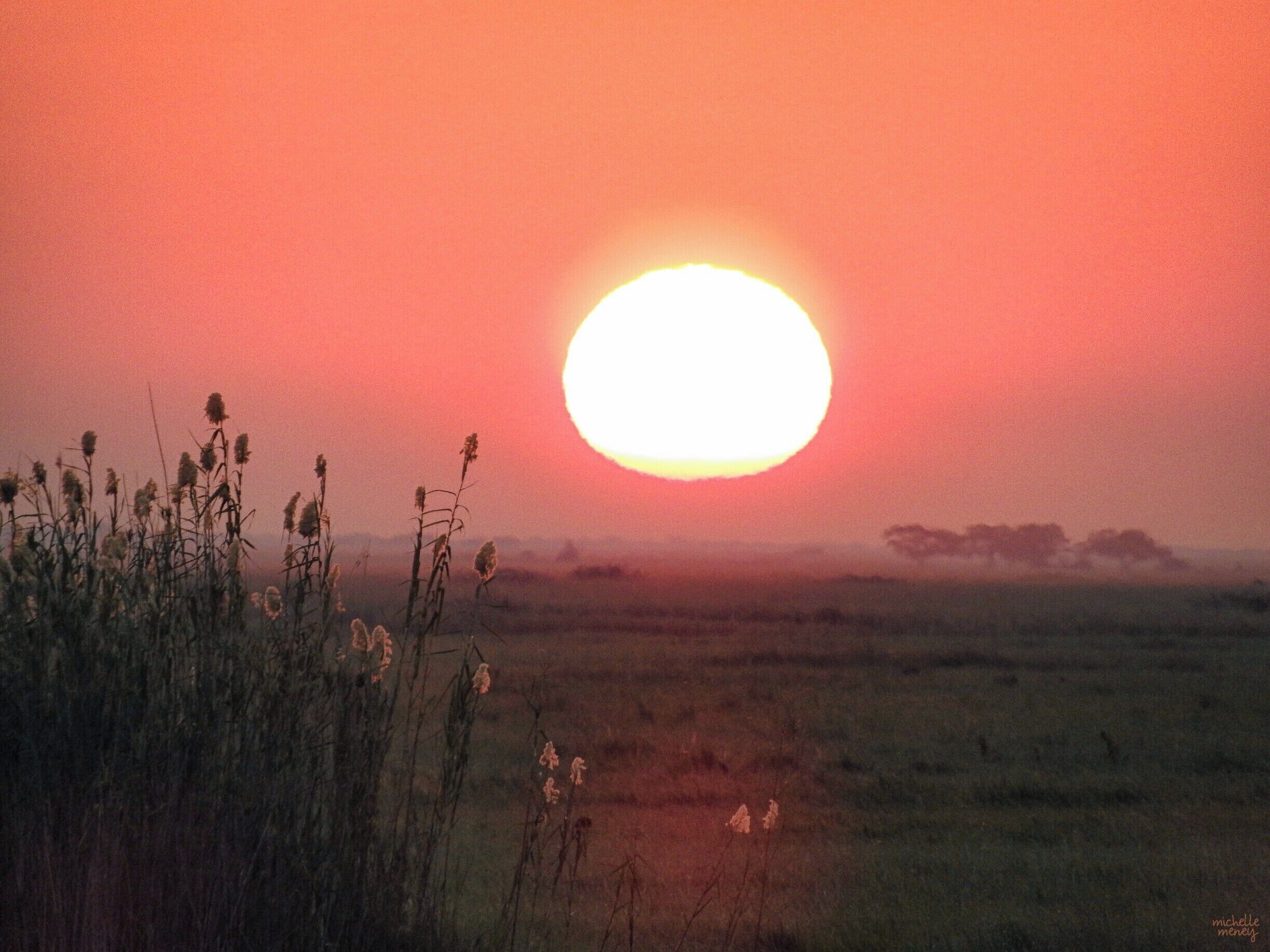 Chobe National Park, Kasane, Bostwana

Sunset on the Zambezi River in Chobe National Park. A river cruise before the park closes in the evening means gin & tonics whilst floating past countless buffalo, hippos and even an elephant crossing! 

#LifeAtExpedia