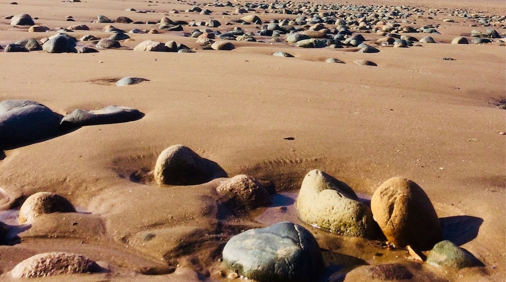 We could be on the Moon ...,, Perhaps I am ..,