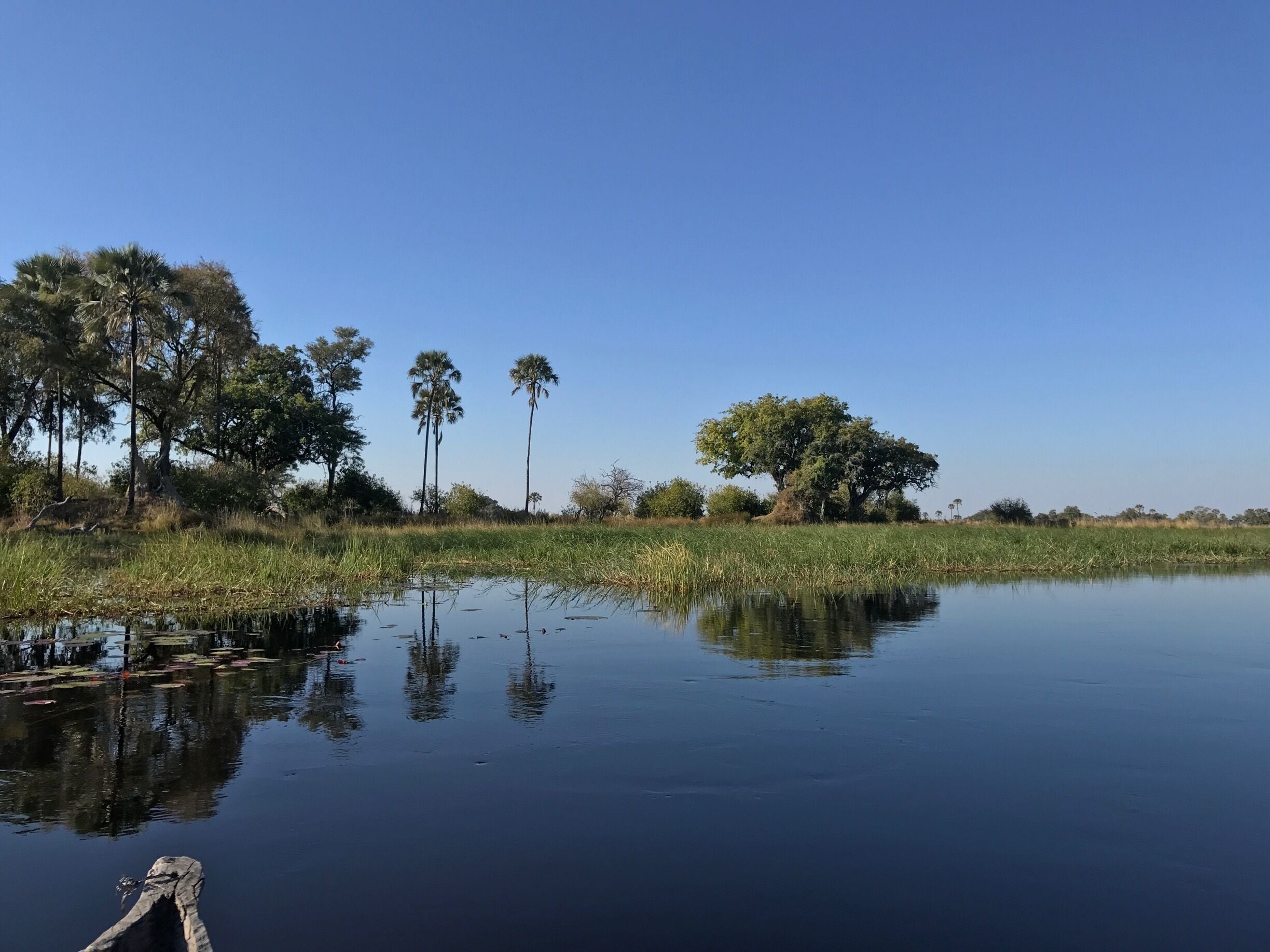 Morning commute to the game drive. 