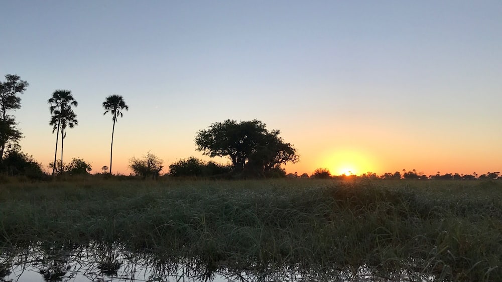 Sunset on the mokoro.