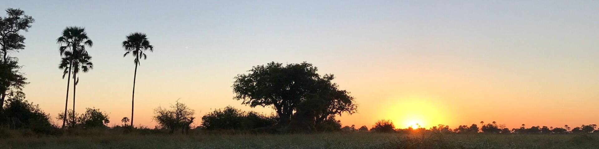 Sunset on the mokoro.