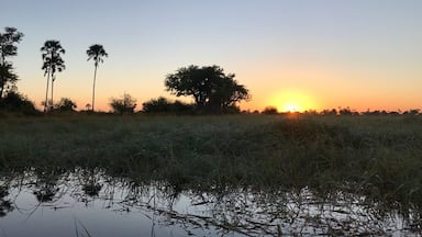 A sunset over a grassy field with tall trees and a body of water.
