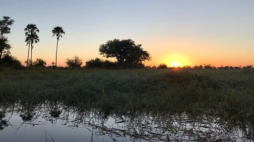 Sunset on the mokoro.