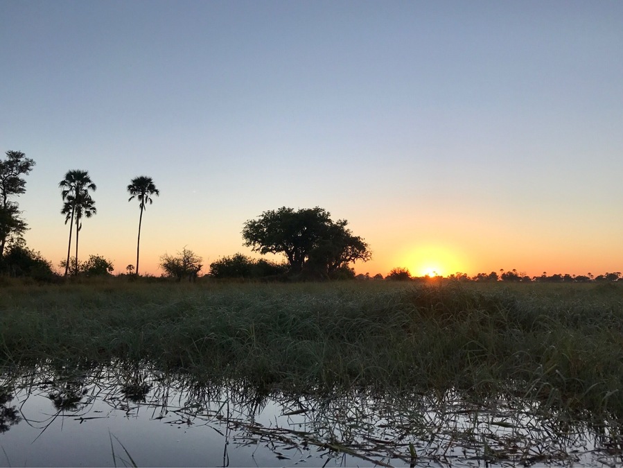 Sunset on the mokoro.