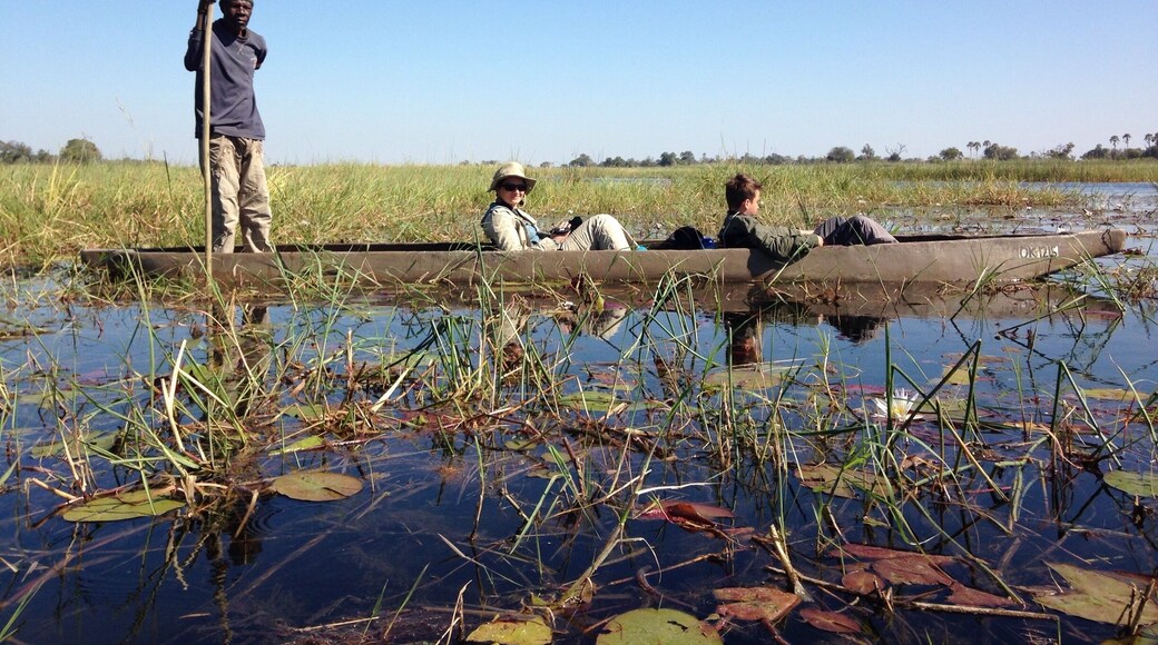 Mokoro trip is like flying over the river in a baloon. #botswana #moremi #waterlust