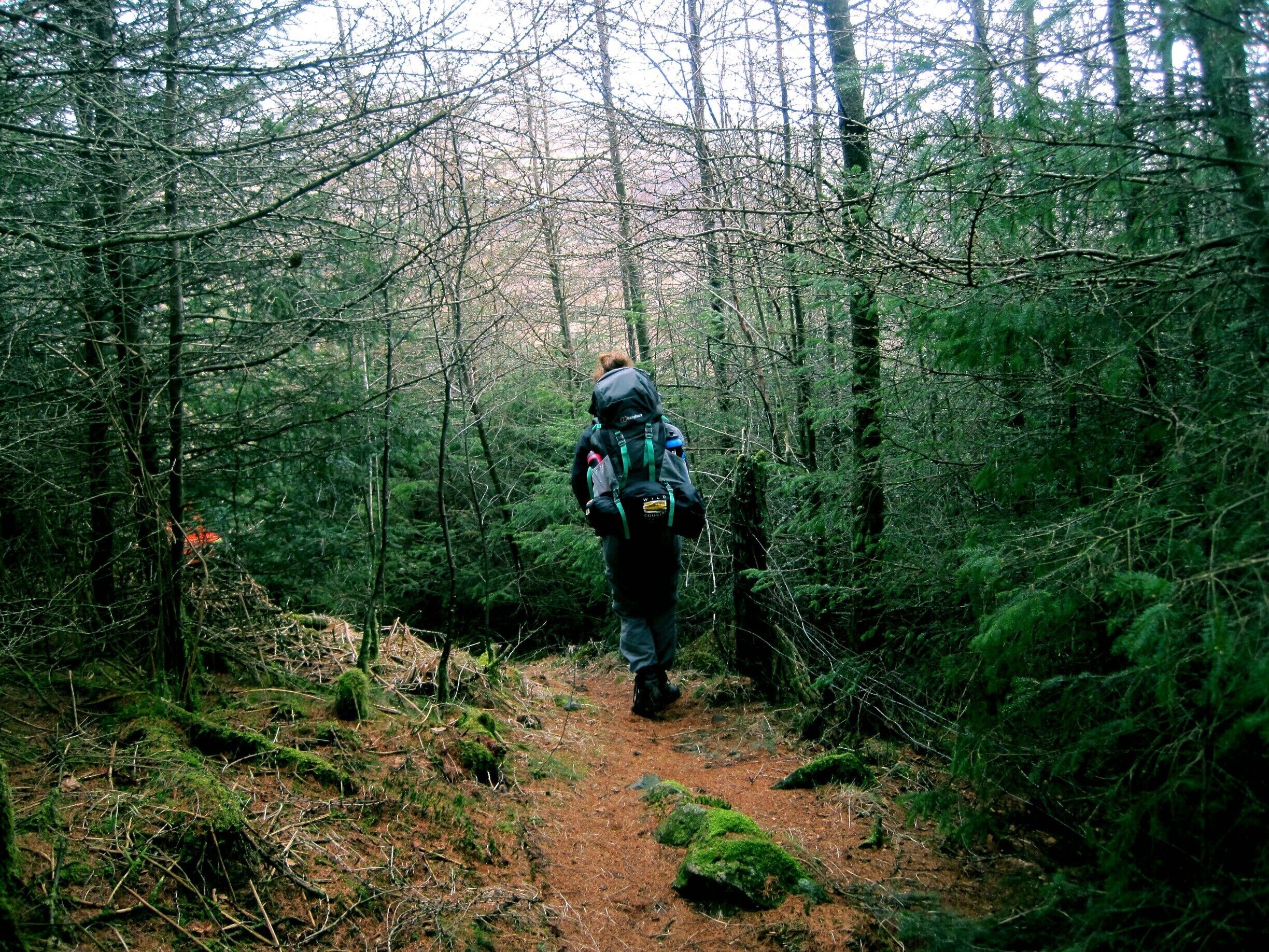 Our final day hiking in the lake district included some much needed sheltered paths from the wind and rain (march)