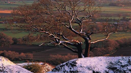 ์์คํฌ๋ฐ์ผ