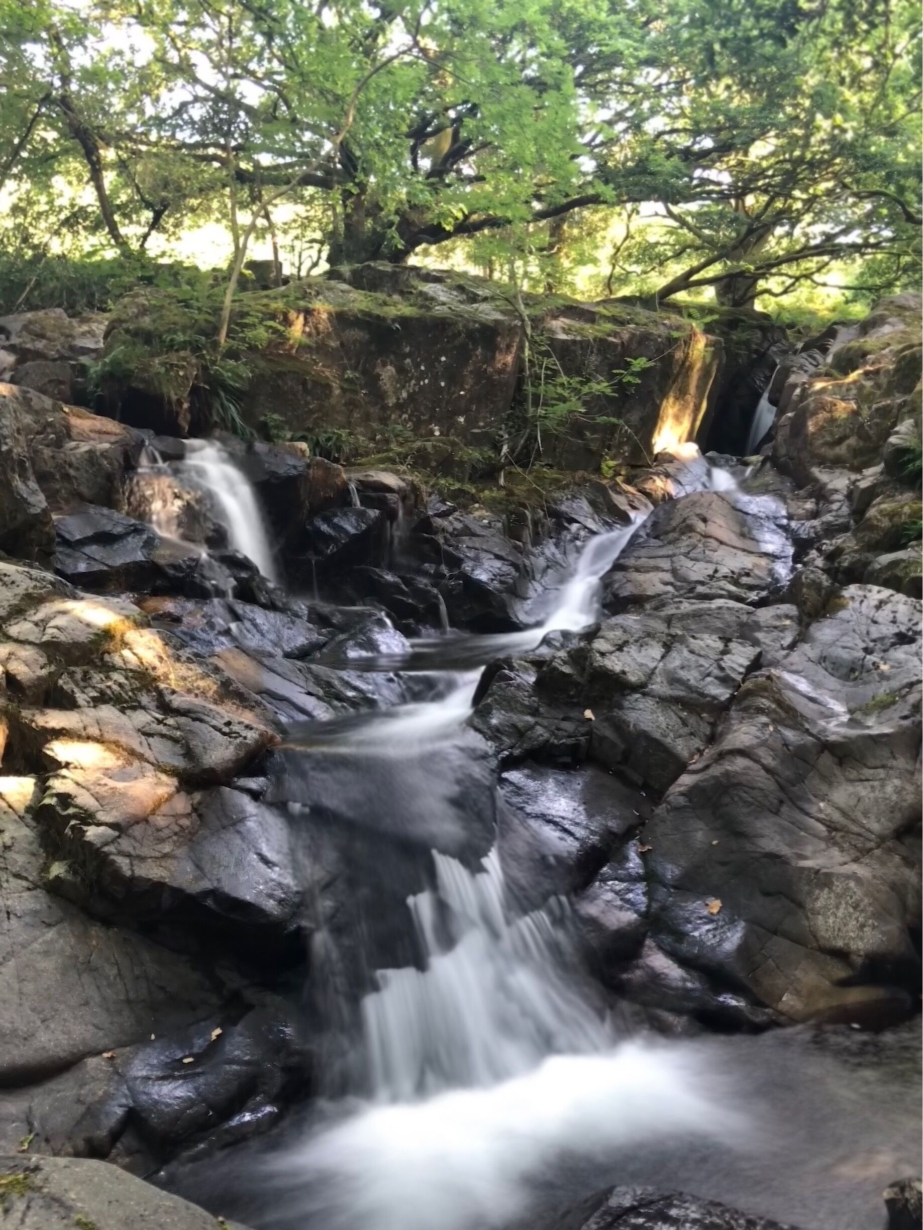 A most beautiful place, tucked up along the Eskdale. Fantastic campsite, within walking distance of 4 great pubs and a an infinite list of hill walks.