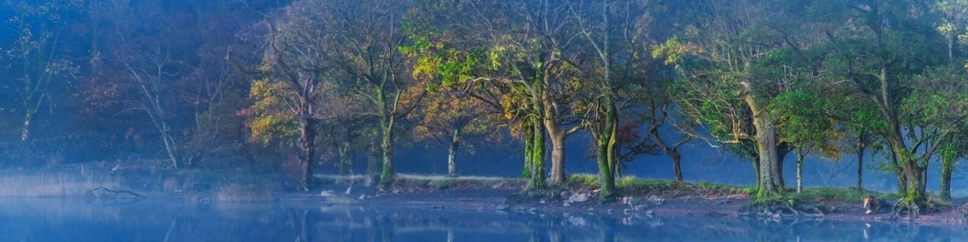 Misty morning on Buttermere..I was hoping for a sunrise shot but the weather didn’t play ball. Turned my camera around and saw this wonderful image.