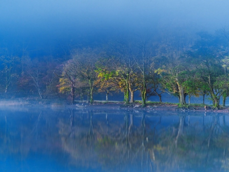 Misty morning on Buttermere..I was hoping for a sunrise shot but the weather didn’t play ball. Turned my camera around and saw this wonderful image.