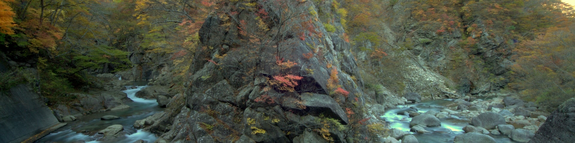 Akazurayama Kokuyūrin Odakura, Nishigō-mura, Nishishirakawa-gun, Fukushima-ken 961-8061, Japan