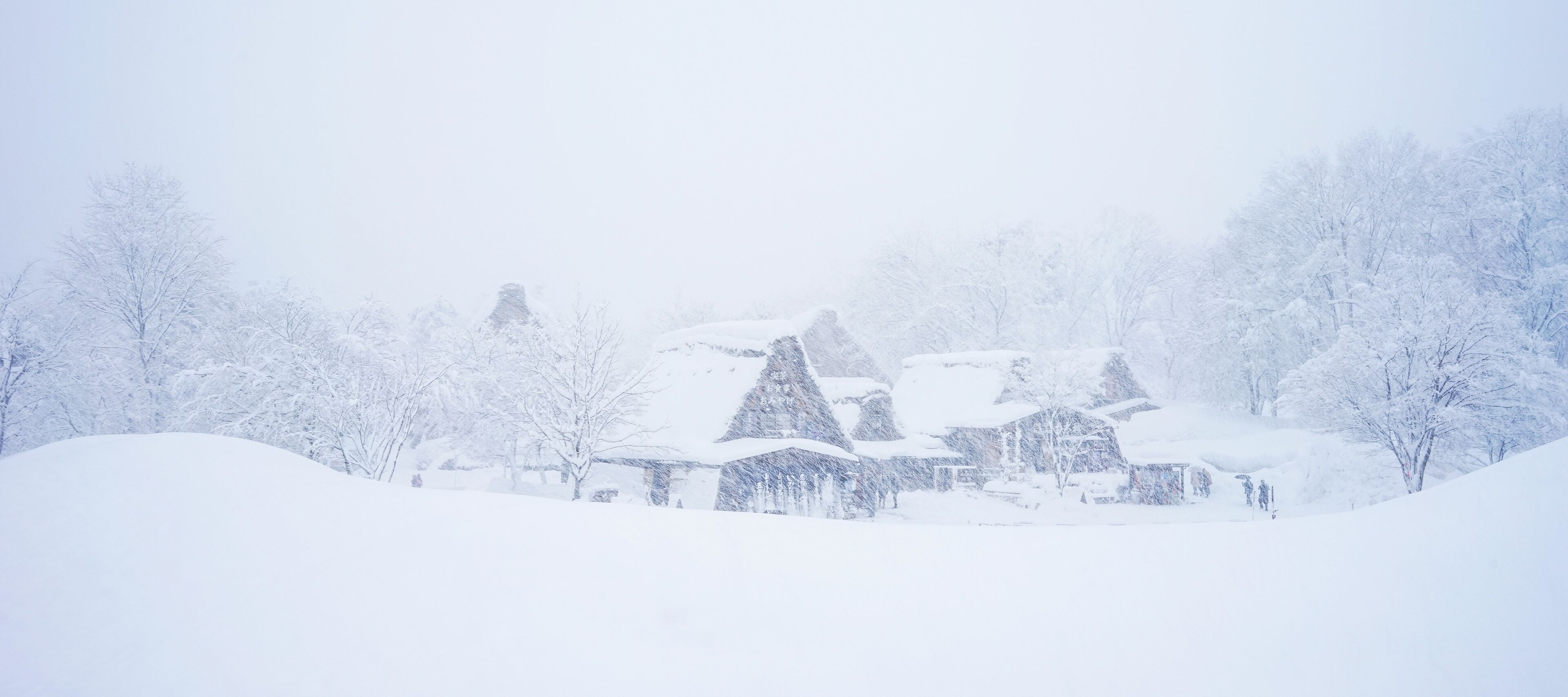 A snow-covered village with traditional houses and trees.