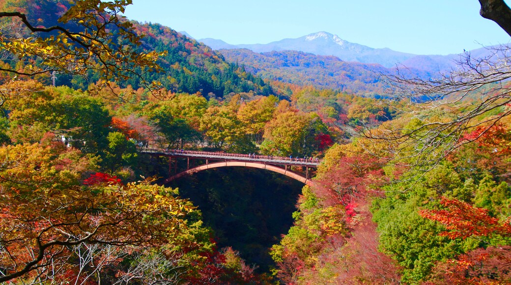 Una vista panoramica di un ponte sopra un fiume, circondato da colori autunnali e montagne sullo sfondo.