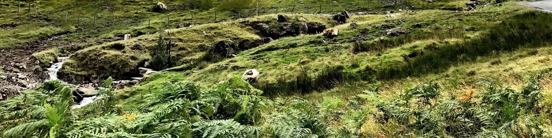 The green in this photo