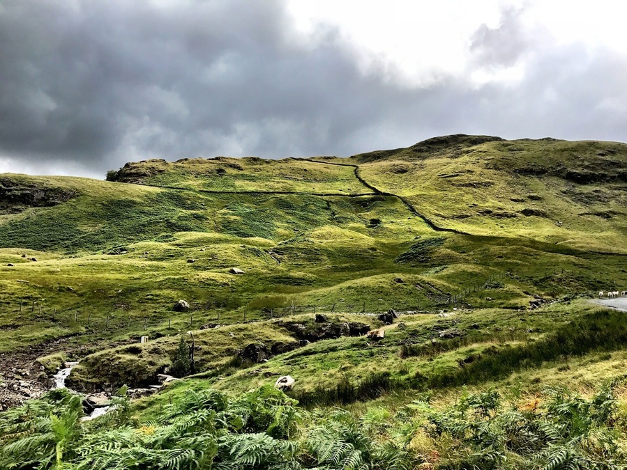 The green in this photo