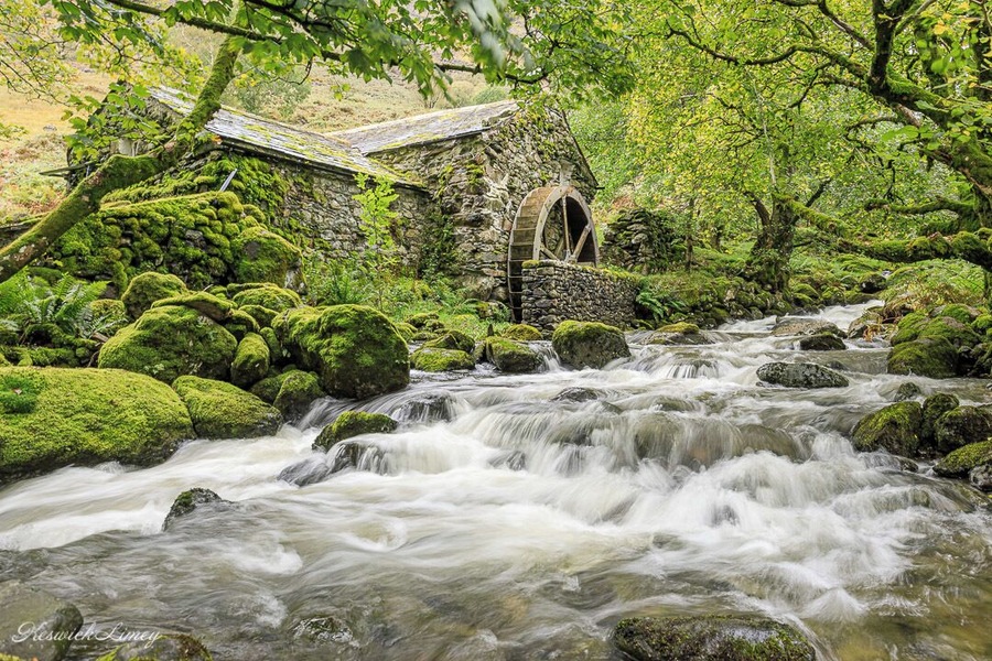 A view of Combe Gill Mill.
This is less than 10 miles form where I have lived for nearly 25 years, yet I only discovered its existence this year. A truly hidden gem.
#Trovember