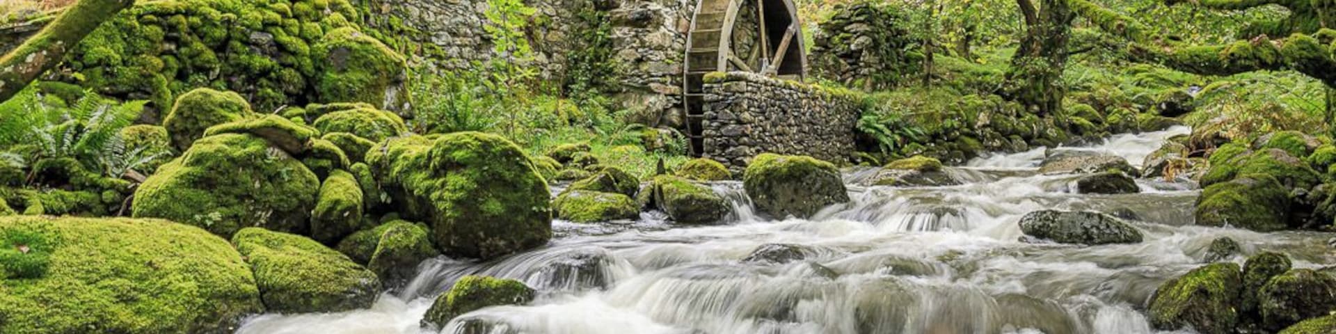 A view of Combe Gill Mill.
This is less than 10 miles form where I have lived for nearly 25 years, yet I only discovered its existence this year. A truly hidden gem.
#Trovember