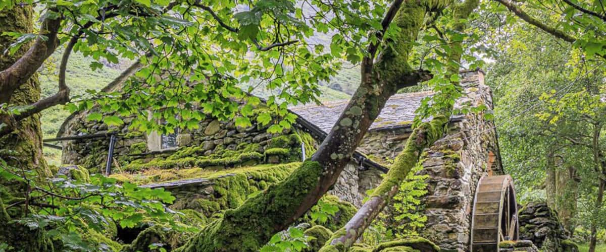 A view of Combe Gill Mill.
A fascinating places. It is well hidden despite being only meters form as public footpath. I have lived in the area for 25 years and have only recently discovered it.
