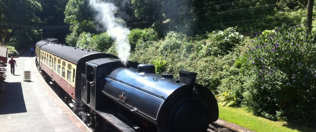 A steam locomotive at a station surrounded by lush greenery.