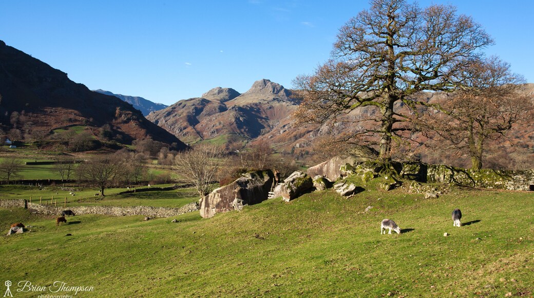 The Langdale Boulders at Chapel Stile, Ambleside with the Langdale Pikes in the background, taken on a very bright clear November day