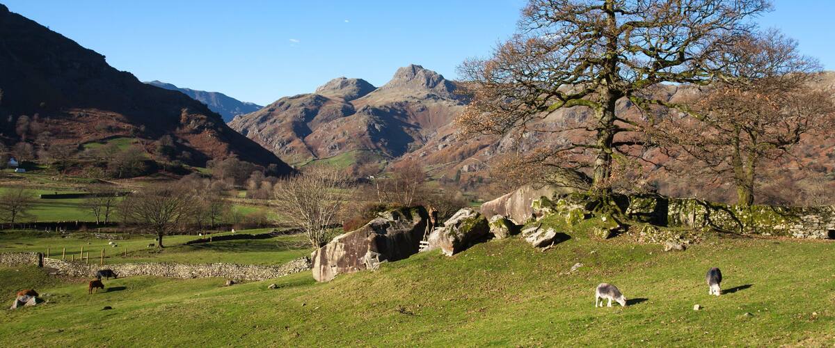 The Langdale Boulders at Chapel Stile, Ambleside with the Langdale Pikes in the background, taken on a very bright clear November day