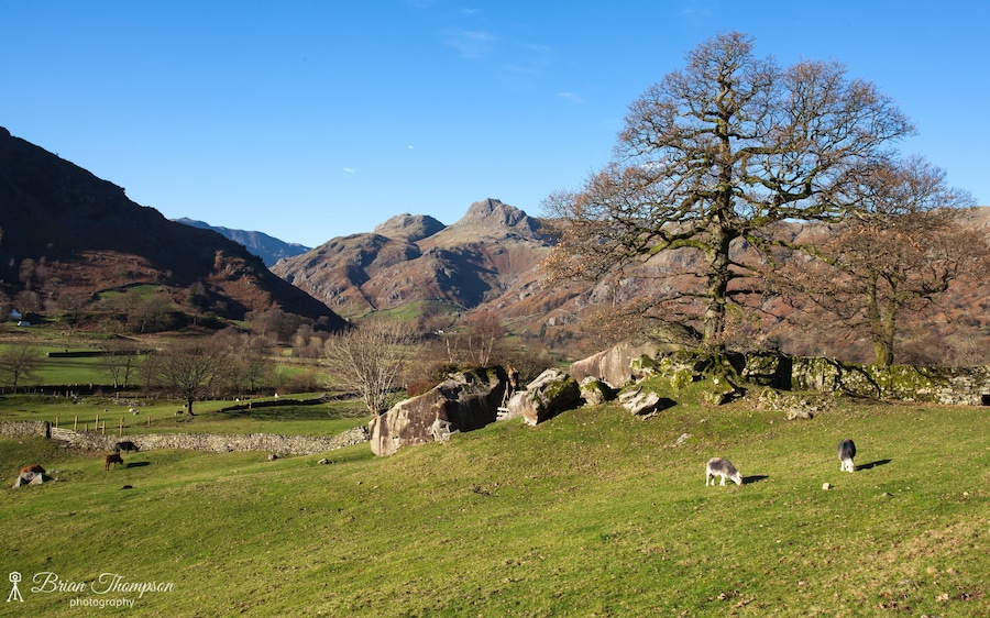 The Langdale Boulders at Chapel Stile, Ambleside with the Langdale Pikes in the background, taken on a very bright clear November day