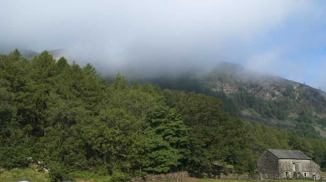 Low cloud. View from the tent #camping #lakedistrict #nature #baysbrowncampsite #tent #chapelstile #lakedistrict #cumbria #uk