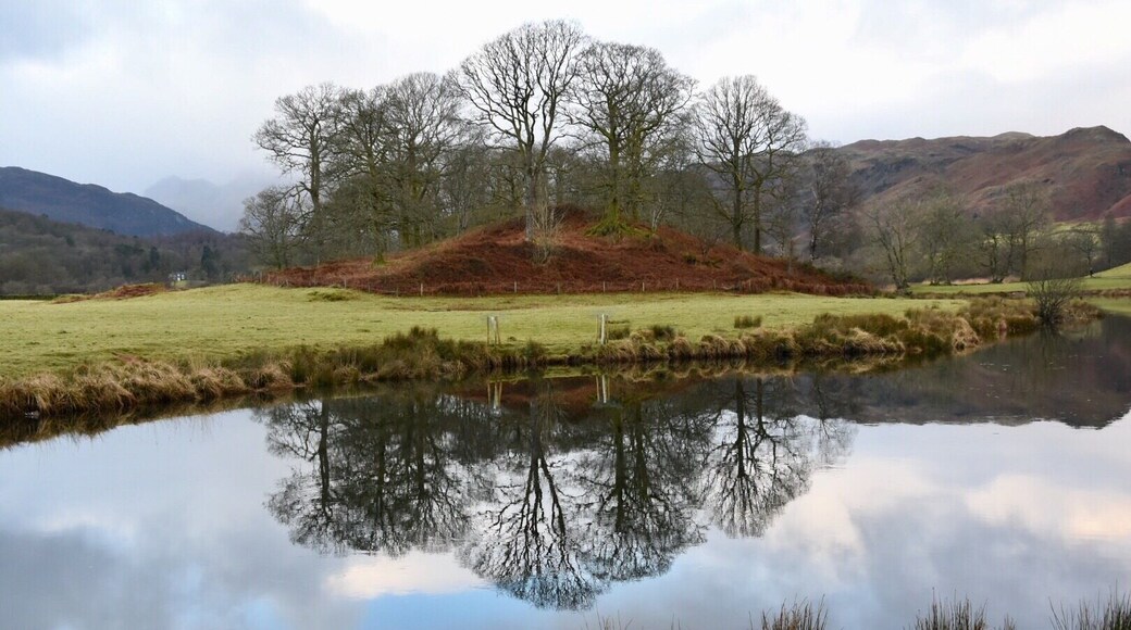 Another reflective shot from our New Year’s Day walk 😊 #reflections #reflection #lakedistrictuk