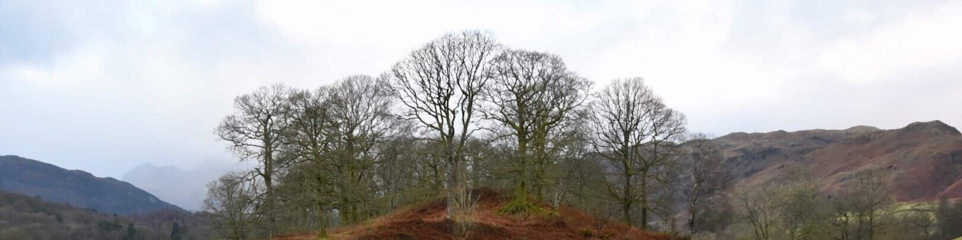 Another reflective shot from our New Year’s Day walk 😊 #reflections #reflection #lakedistrictuk