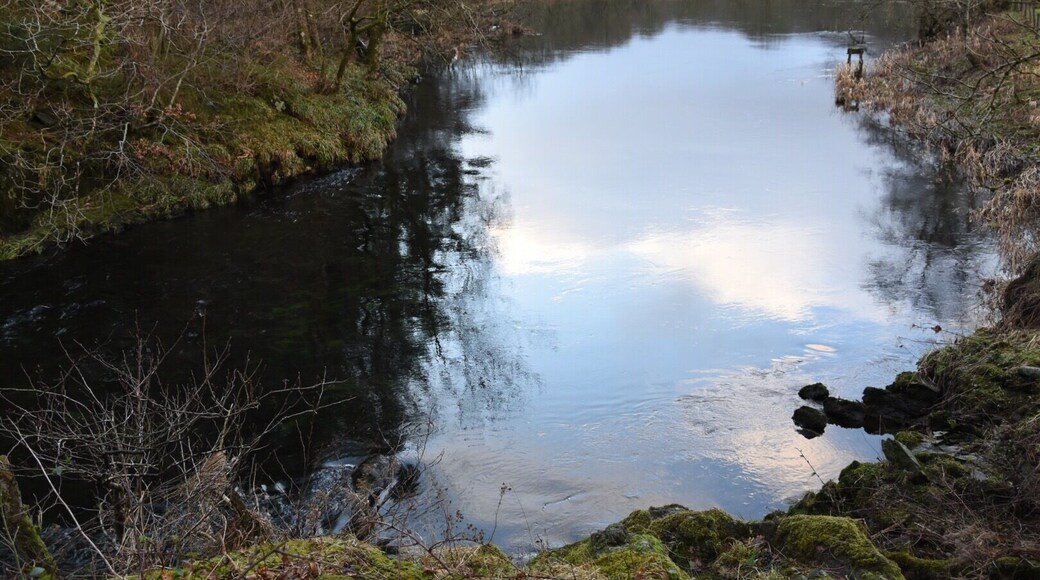 A flat walk on New Year’s Day after walking over Loughrigg Fell, this time on the way to the pub 😊 #reflections #riverbrathay #lakedistrict