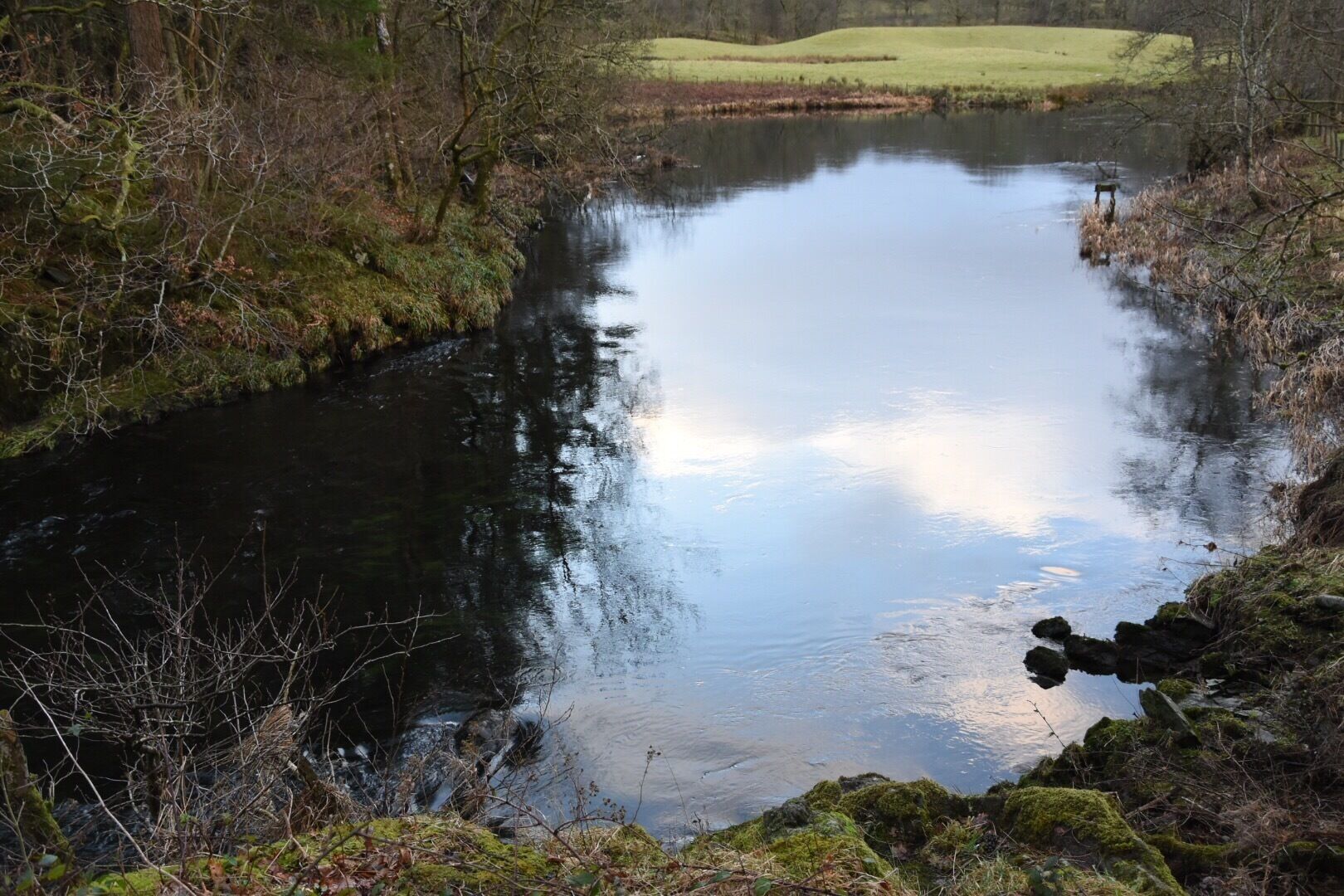 A calm river with surrounding trees and a grassy field.