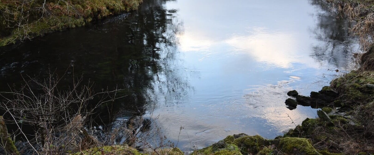 A calm river with surrounding trees and a grassy field.